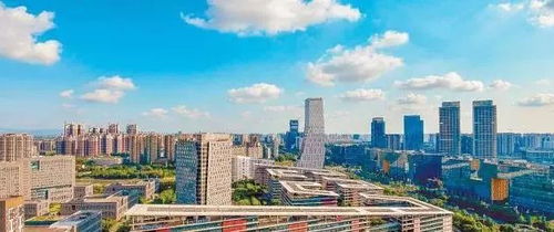 青春在這頭，夢想在那頭 成都朗力在天府軟件園的成長故事